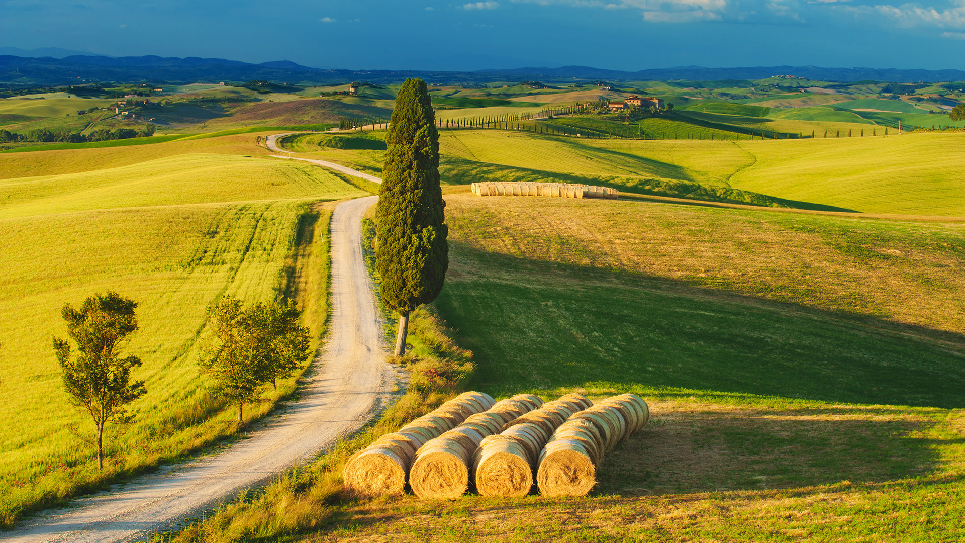 THE TUSCAN WAYS Car Transfers & Tours in Tuscany